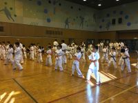2018秋季審査会 2018年10月7日（日）あらかわ遊園スポーツハウス
