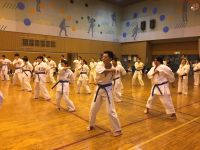 2017夏季審査会 2017年6月18日（日）あらかわ遊園スポーツハウス