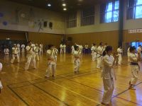 2018春季審査会 2018年3月4日（日）あらかわ遊園スポーツハウス
