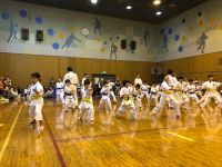 2018夏季審査会 2018年6月17日（日）あらかわ遊園スポーツハウス