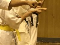 2019夏季審査会 2019年6月16日（日）あらかわ遊園スポーツハウス