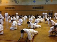 2015夏季審査会 2015年6月21日(日)　あらかわ遊園スポーツセンター