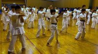 2019秋季審査会 2019年10月6日（日）あらかわ遊園スポーツハウス