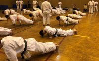 2019冬季審査会 2019年02月03日（日）あらかわ遊園スポーツハウス
