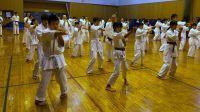 2019秋季審査会 2019年10月6日（日）あらかわ遊園スポーツハウス