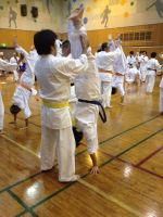 2015夏季審査会 2015年6月21日(日)　あらかわ遊園スポーツセンター