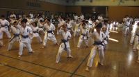 2015秋季審査会 2015年10月18日(日)　あらかわ遊園スポーツセンター