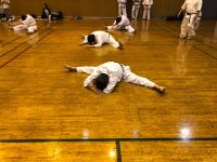 2018夏季審査会 2018年6月17日（日）あらかわ遊園スポーツハウス