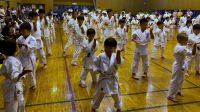 2019秋季審査会 2019年10月6日（日）あらかわ遊園スポーツハウス