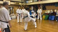 夏季審査会