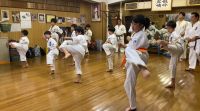 夏季審査会